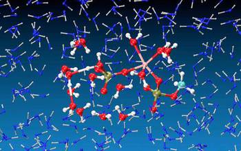 Illustration of simulations of a free energy perturbation study of phosphate hydrolysis in water